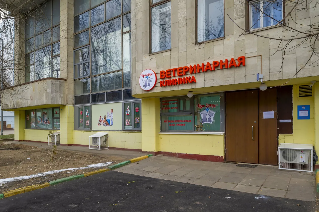 Вход в клинику: жёлтый фасад с вывеской «Ветеринарная клиника»
