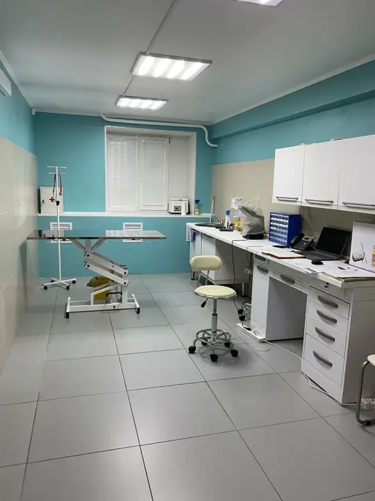 Кабинет клиники