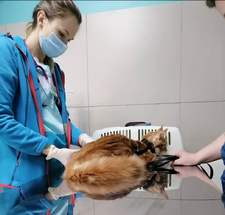 Врач клиники с пациентом