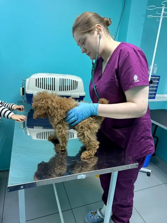 Врач клиники с пациентом