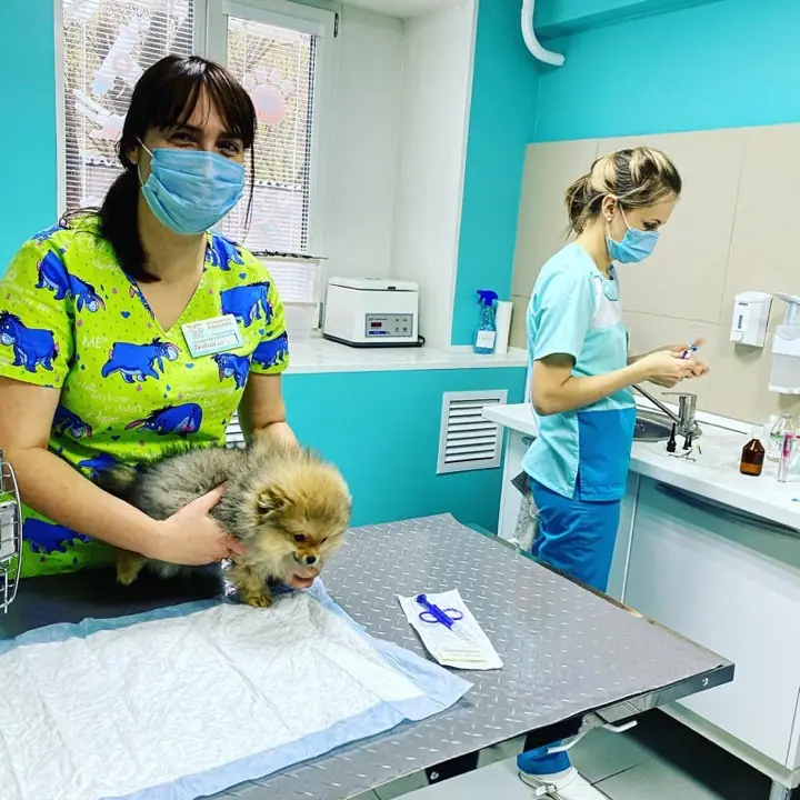 Врач клиники с пациентом