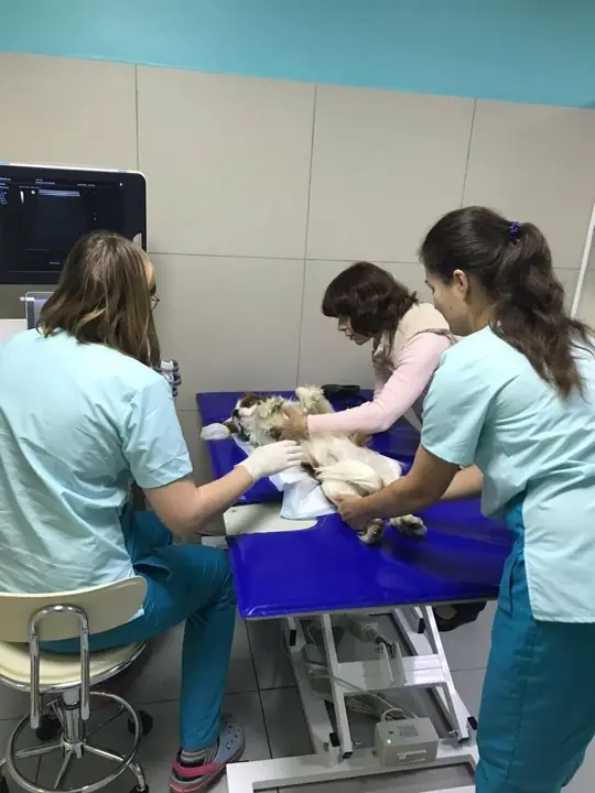 Врач клиники с пациентом