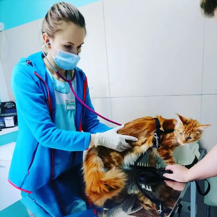 Врач клиники с пациентом